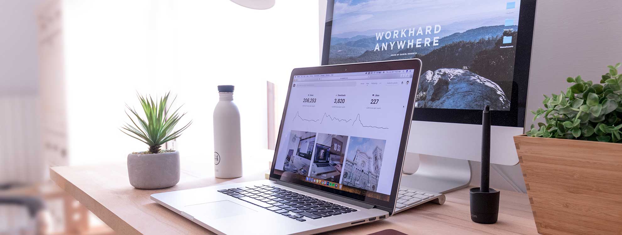 Web Designer