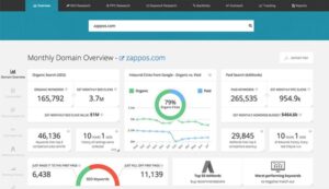 Monthly Domain Overview SEO tool - zappos stats
