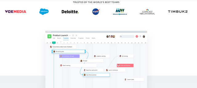 Asana project management platform