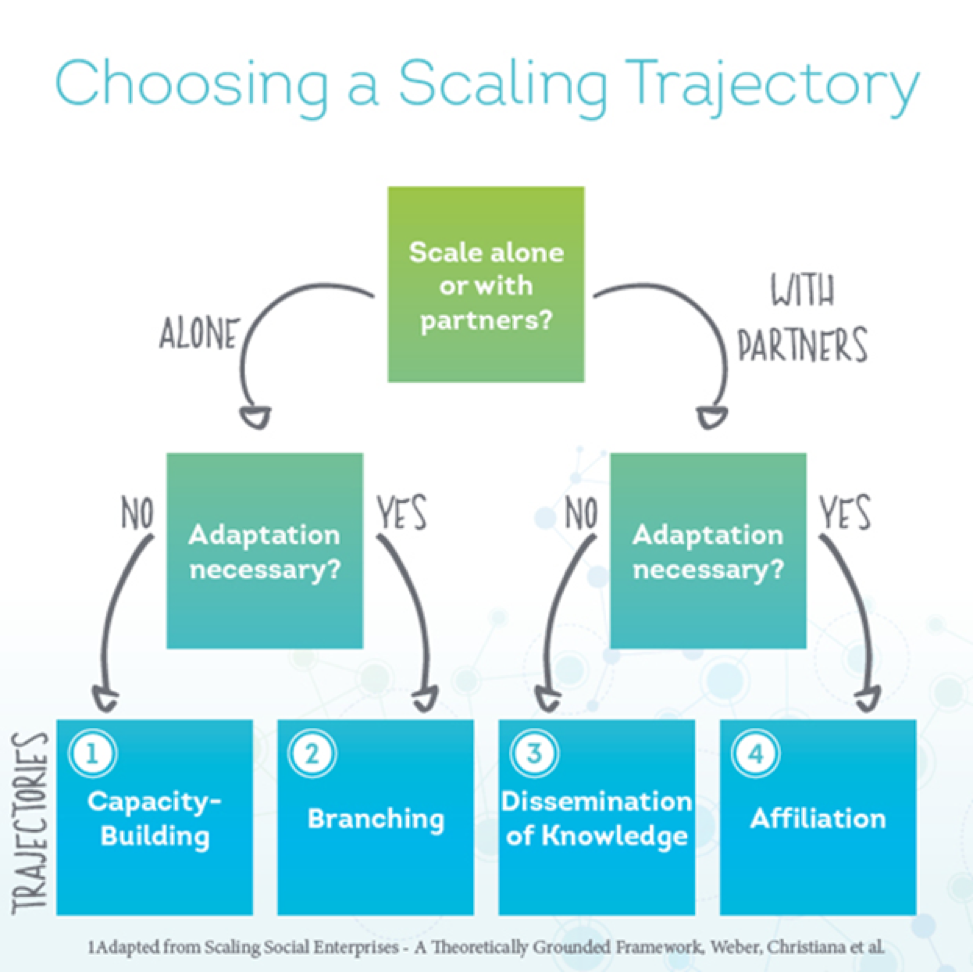 Choosing a scaling technology decision board - alone or without partners & adaptation