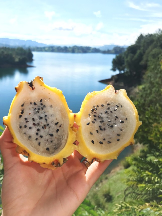 Pitaya Yellow Ripe terrafresh