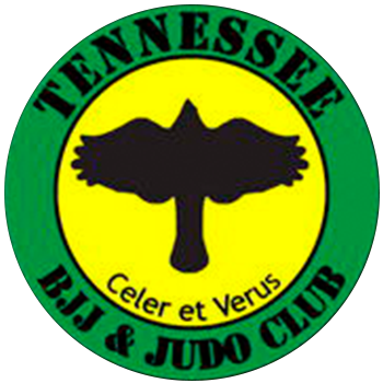 Kaze Brazilian Jiu Jitsu and Judo Institute logo