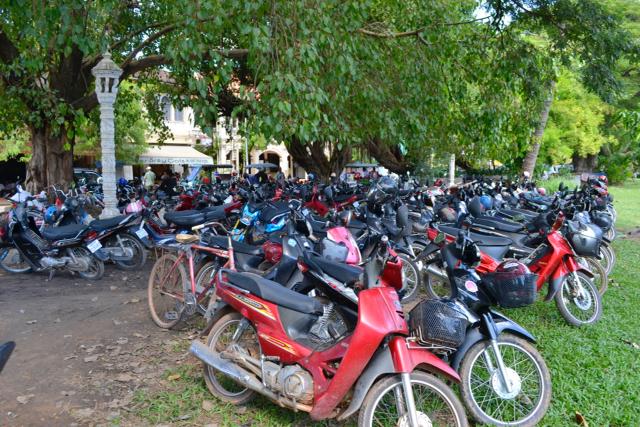 Different countries have different modes of transportation that expats would use