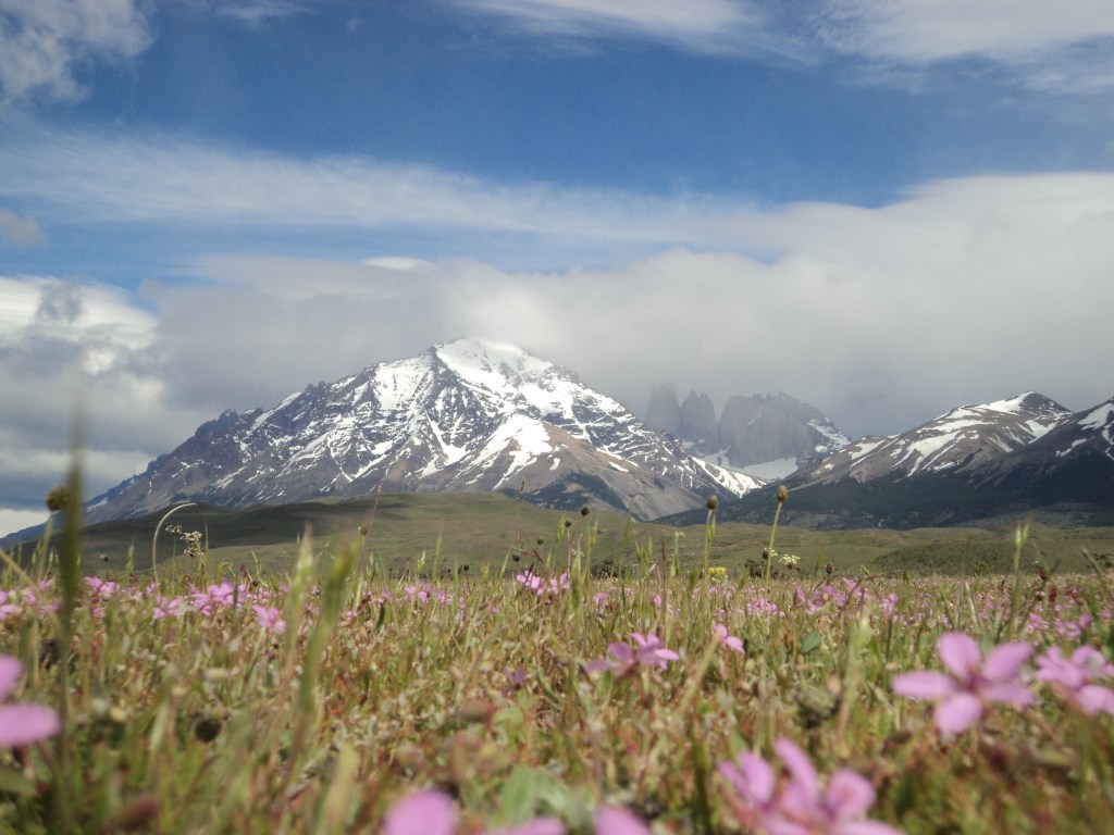 Backpackers can take a day-trip to visit the gorgeous Torres del Paine in Chile