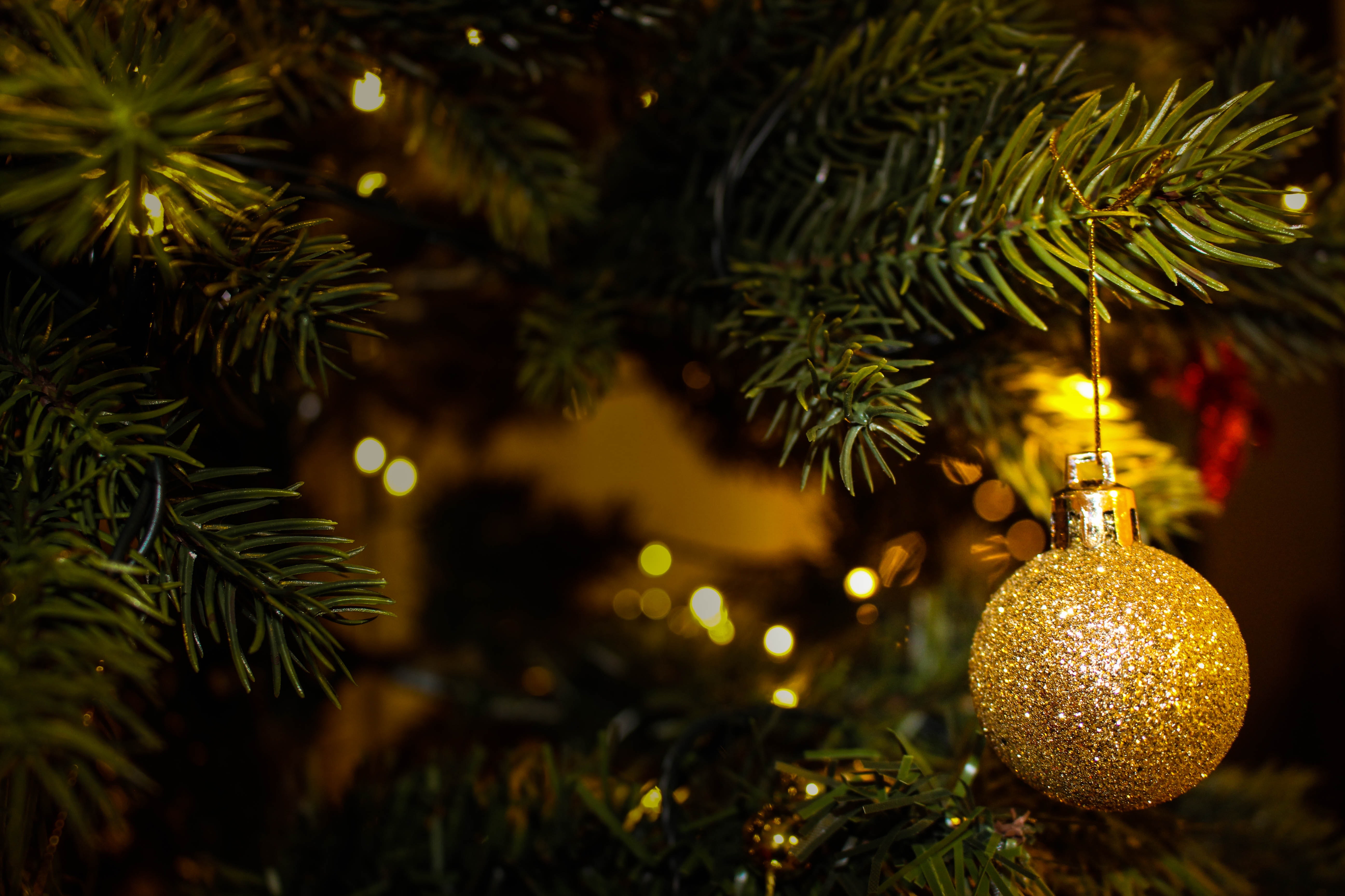 Downloadable ESL Lesson: A Teaching House Christmas