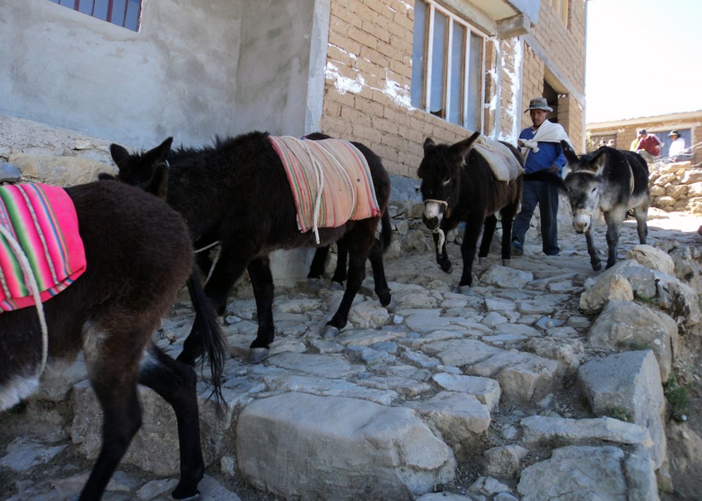 ESL teacher Fran had a great time on her backpacking trip in Bolivia