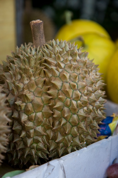 ESL teacher Sherry Ott told her story trying the exotic fruit Durian during her time teaching English in Vietnam