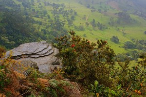 The cloud forest of Chicaque, Bogota is absolutely worth the time and effort to visit