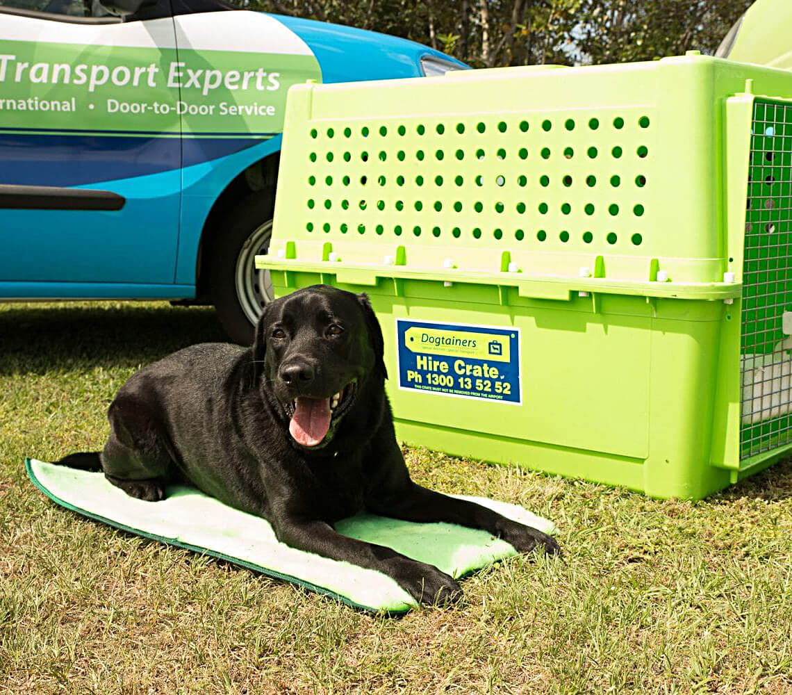 Dogtainers South Auckland Pet and Animal Transport Auckland