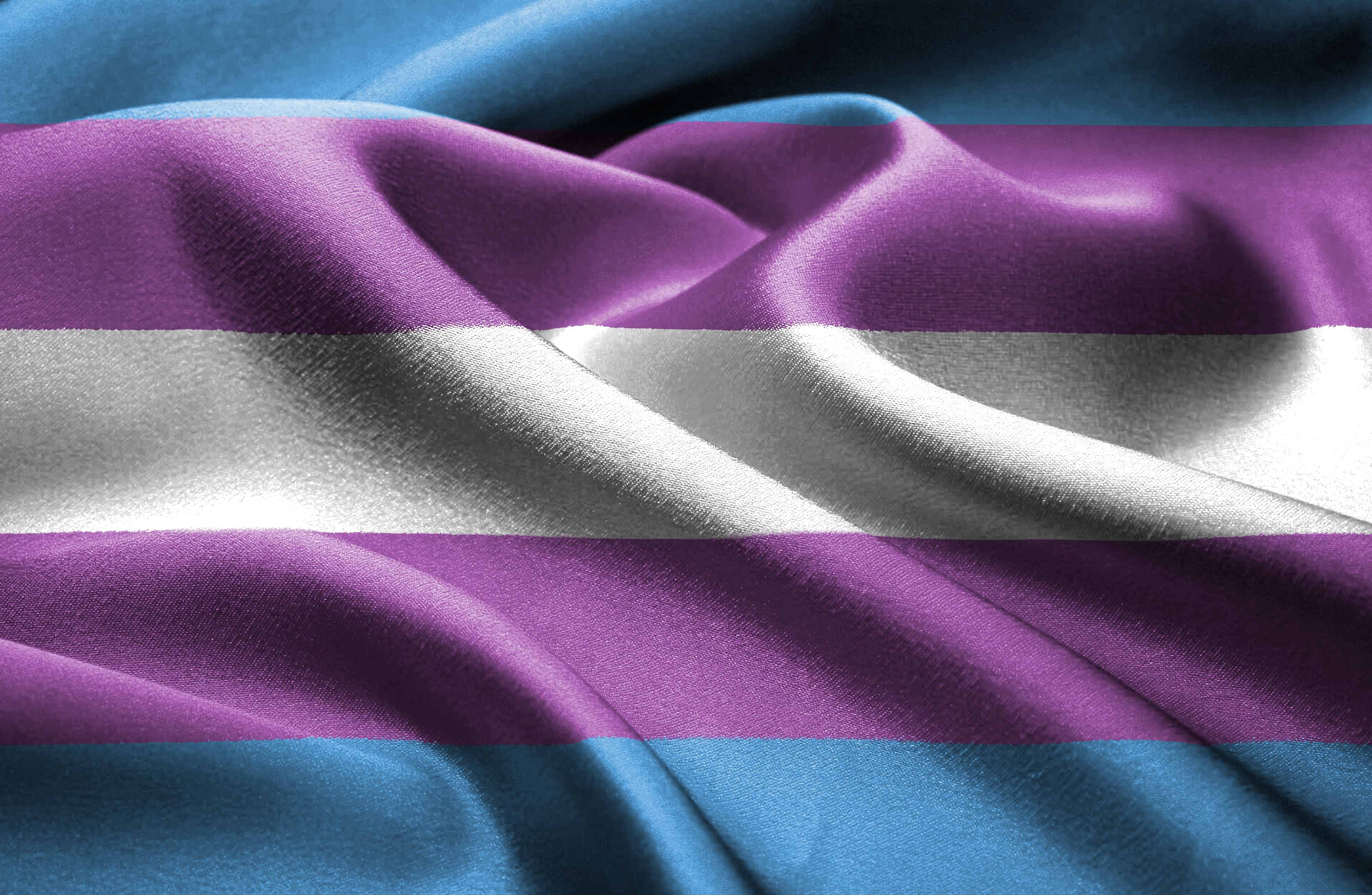 transgender flags