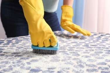 Woman scrubbing a carpet with vinegar and water