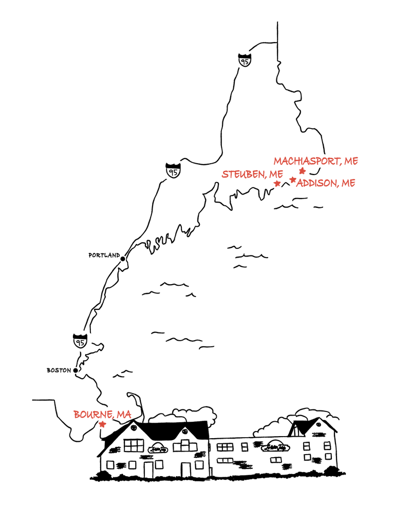 About Us The Lobster Trap