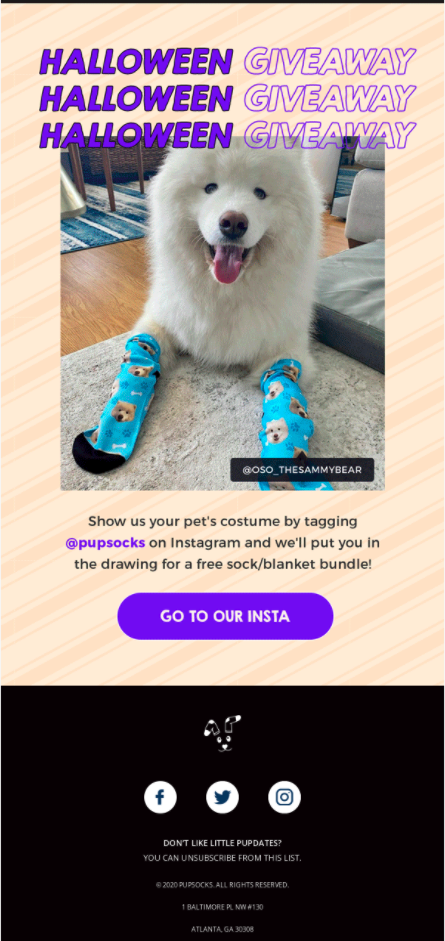 Pup Socks Halloween Giveaway
