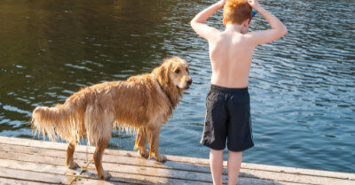 Best Dogs For Autism | Coach Doggo