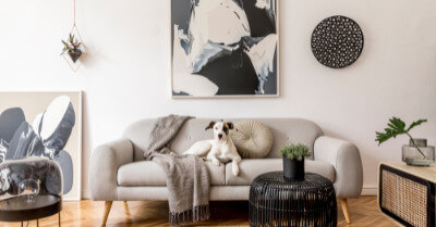 Best Dogs For Apartments | Coach Doggo