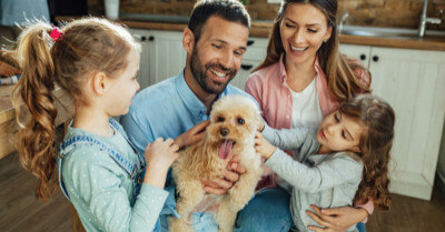Best Dogs For A Family | Coach Doggo