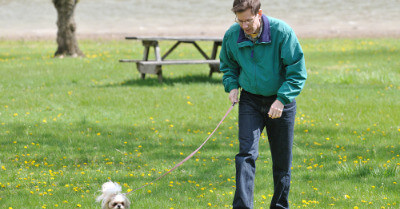 How To Train a Shih Tzu | Coach Doggo