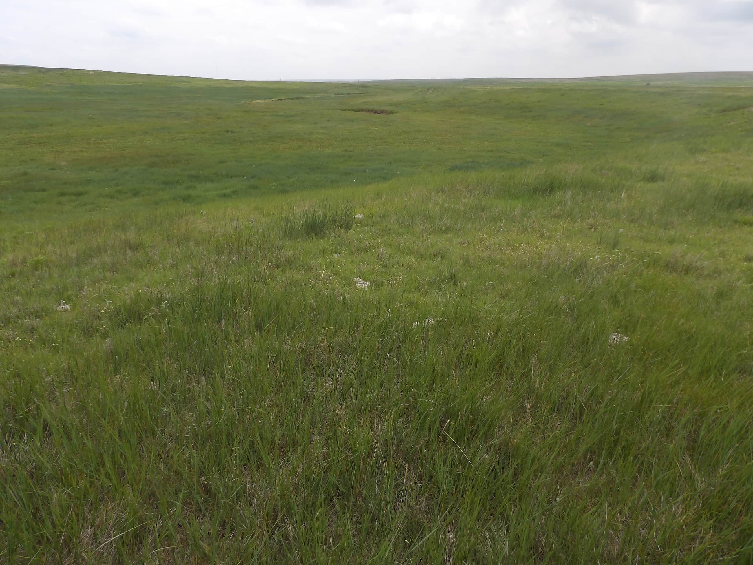 Properties Farm & Ranch Real Estate