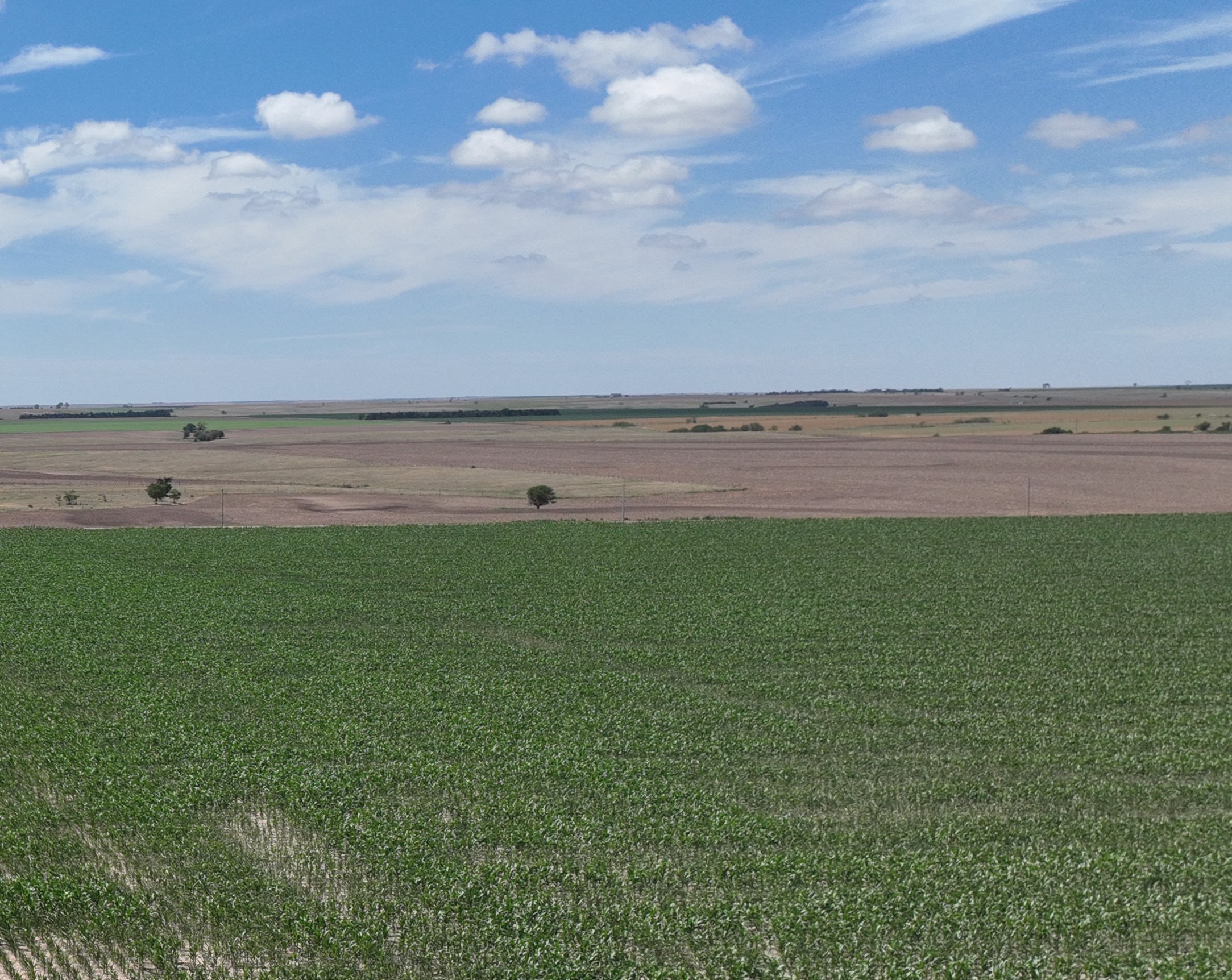 Home Farm & Ranch Real Estate