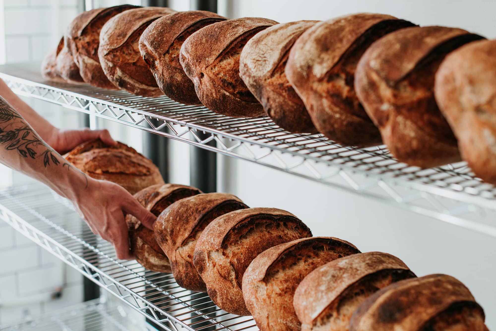Image of loaves on a rack