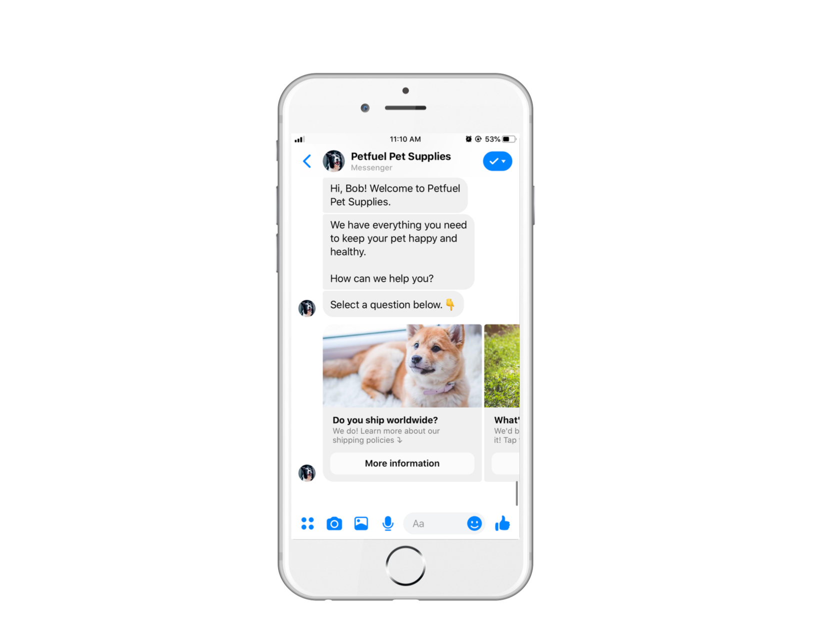 Chatbot answering basic FAQs