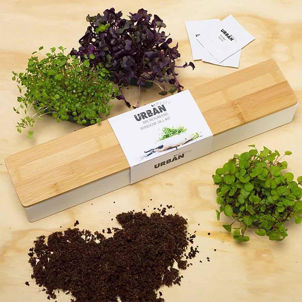 urban-greens-green-growing-kit-plant-flora-and-fauna