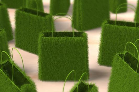 Sustainable Fashion Practices - Shopping Bags