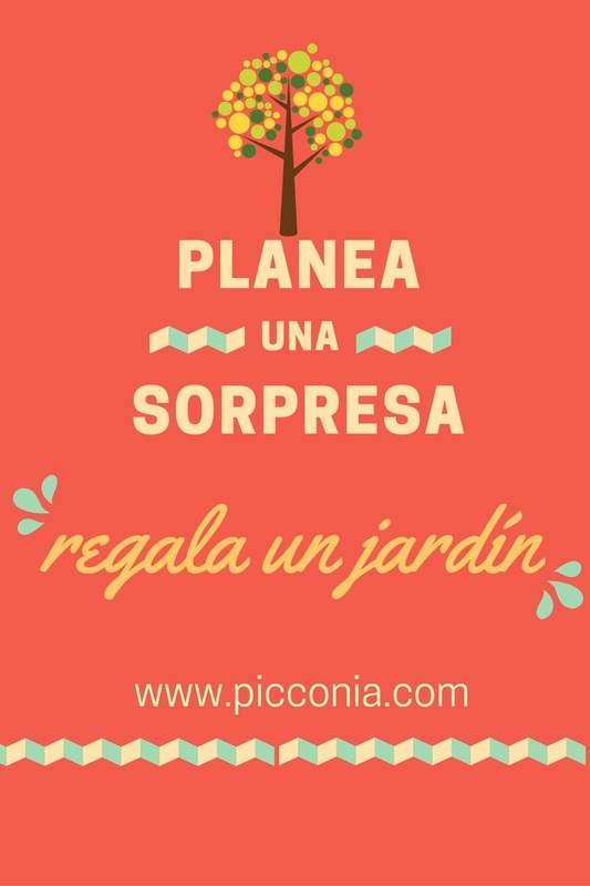 5 pasos para regalar un jardín