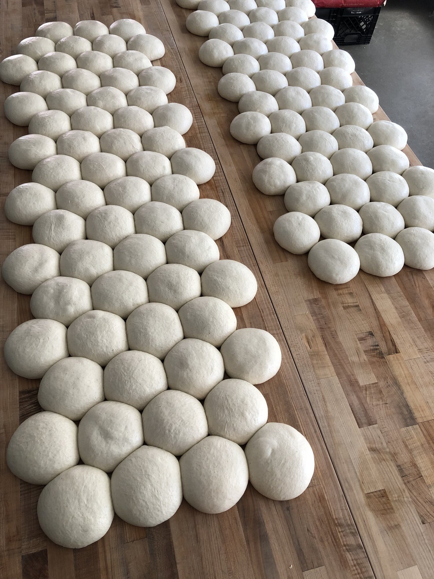 Sourdough Pizza Dough Table for vegan pizza.JPEG