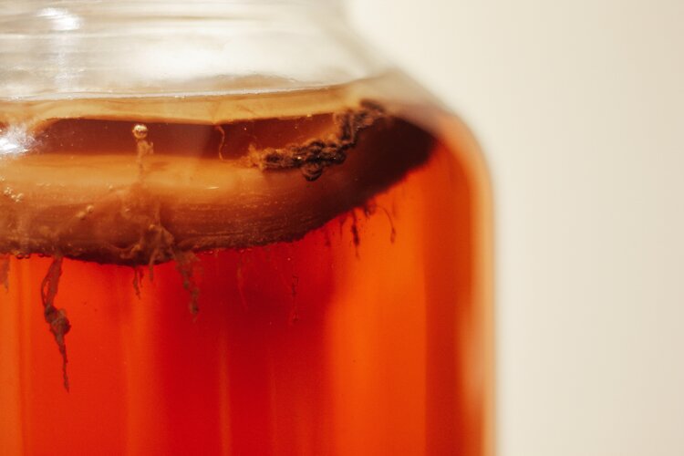 kombucha is fermented