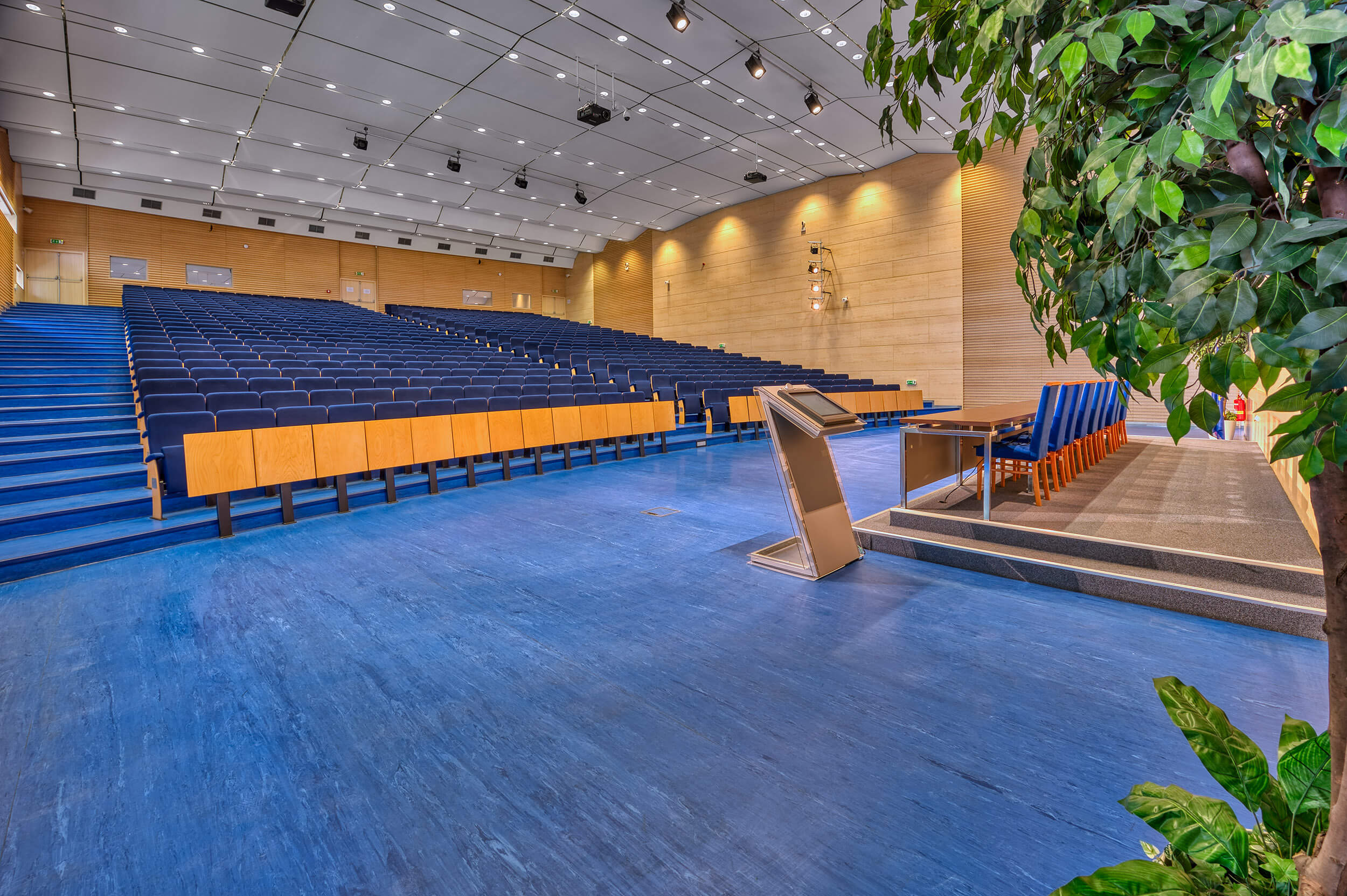 Aula