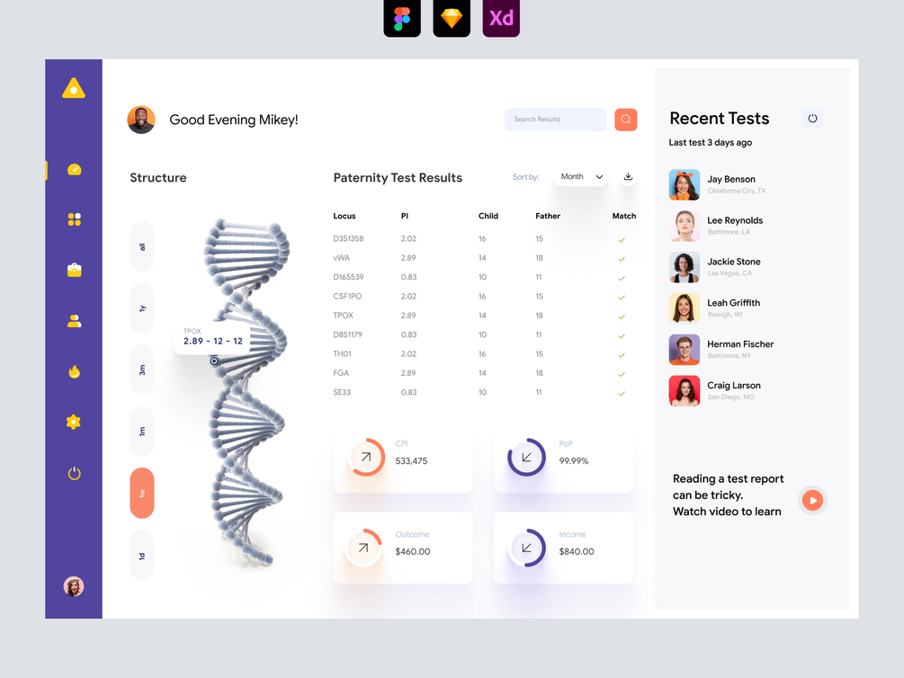 DNA Report Dashboard UI