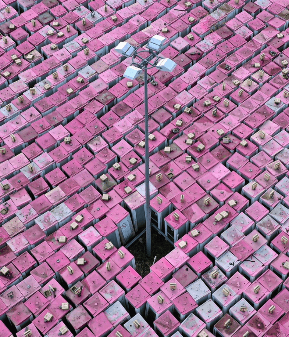 Pink architecture