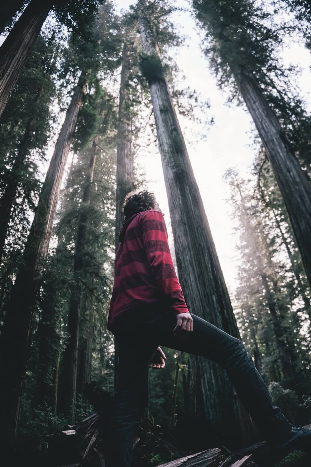 Perspective shot, experimental photo