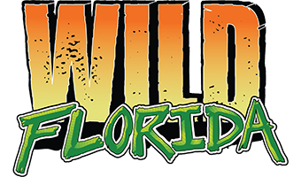 Wild Florida Logo