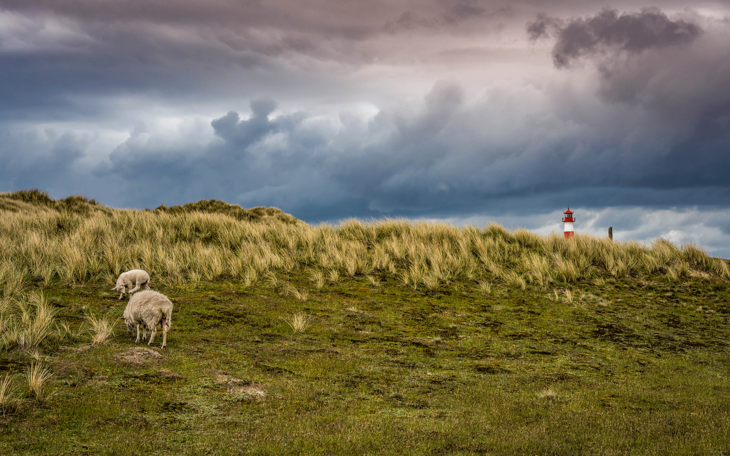 Sylt ©by Esther Brehm