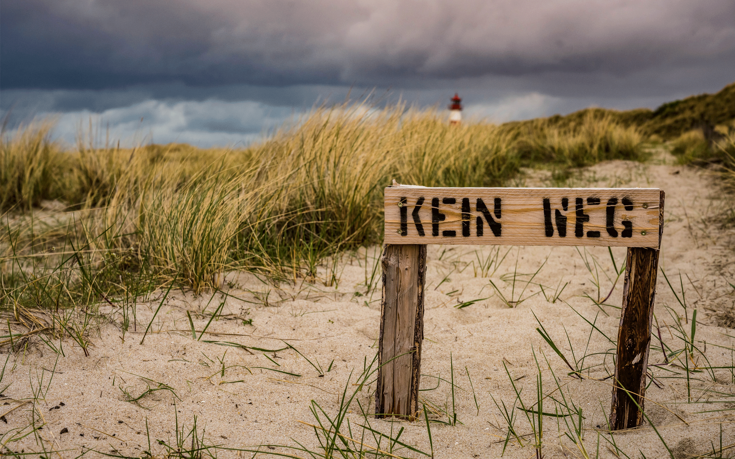 Sylt ©by Esther Brehm