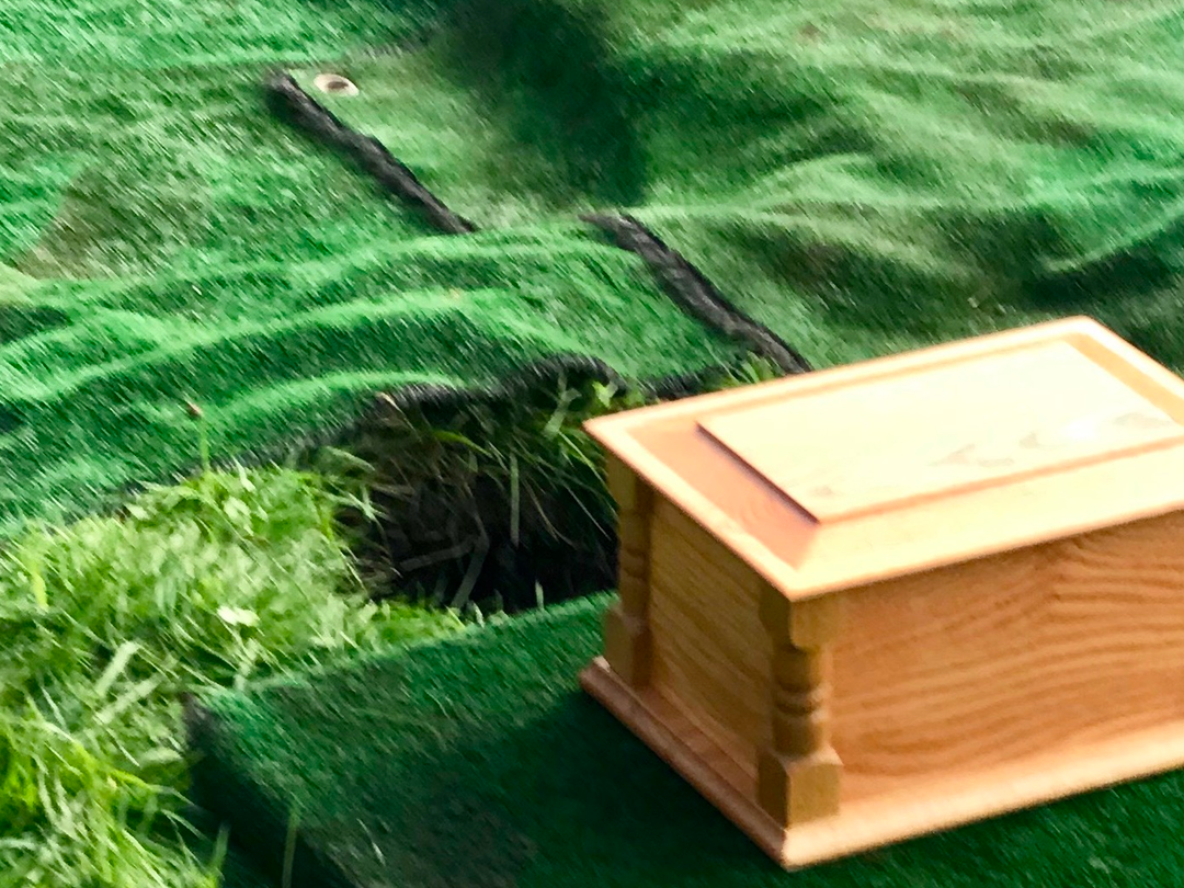 Arranging a Funeral in Sutton Coldfield