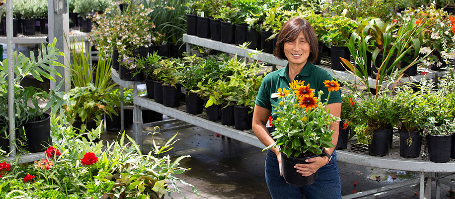 Friedman's Home Improvement Careers