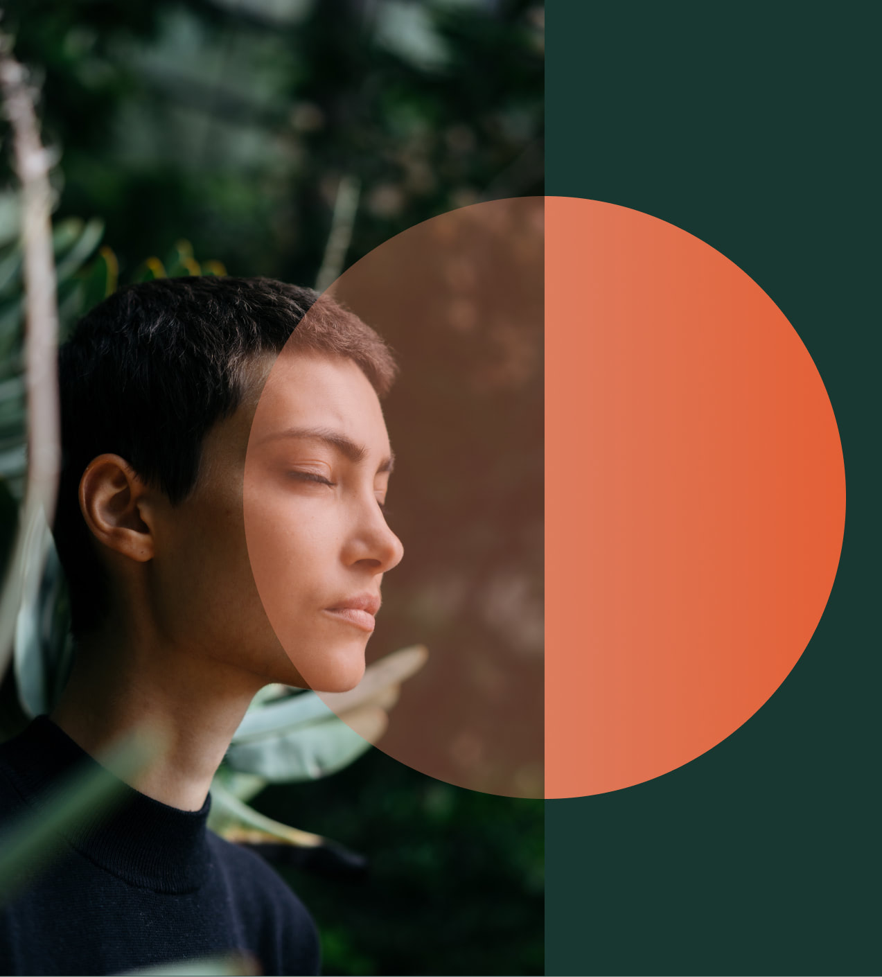 Psychedelic Therapy Safety and Preparation