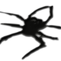 Arachni