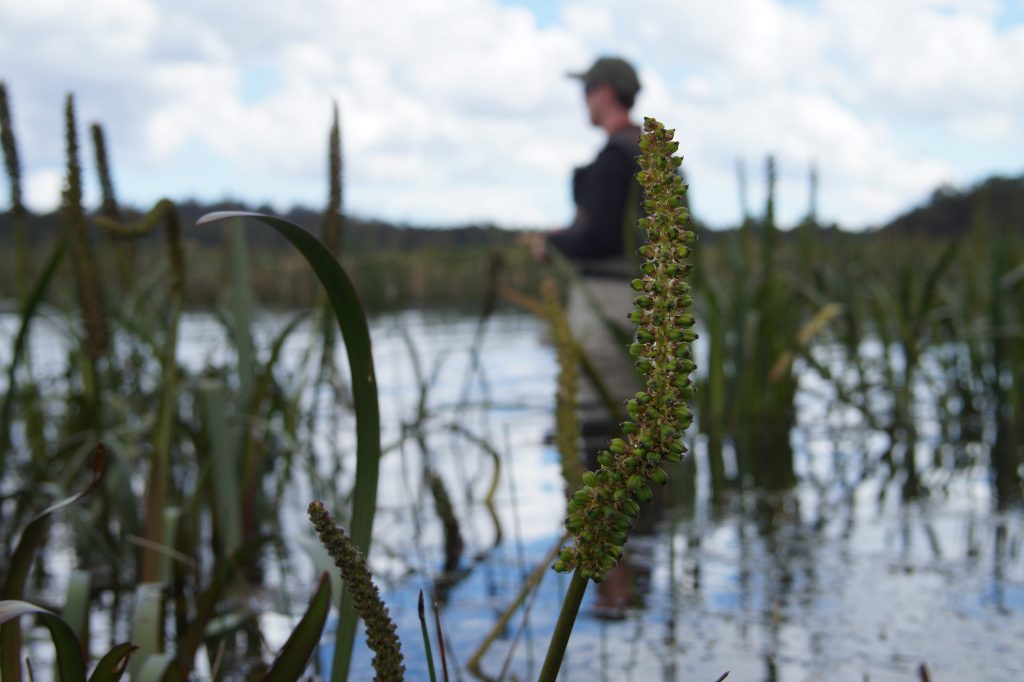 Tasmanian Trout Fly Fishing Season: Ultimate Guide 2022