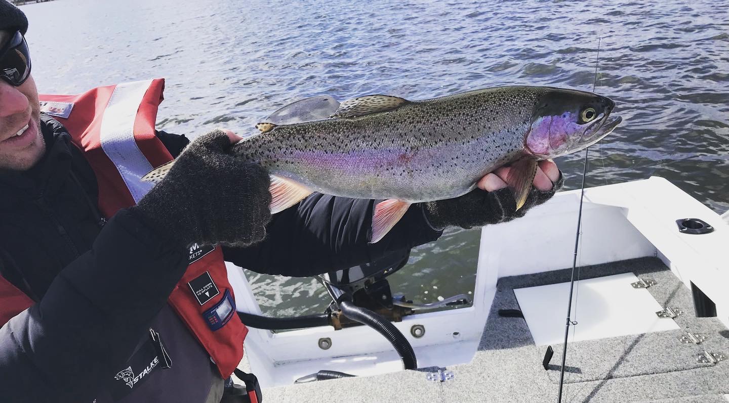 Early Season Fly Fishing Tasmania Trout Tales Tasmania