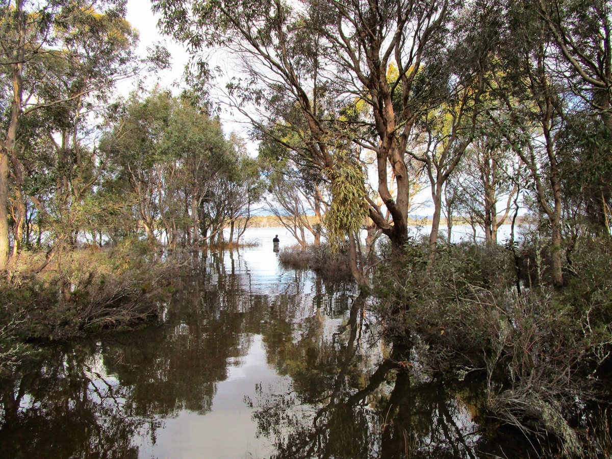 arthurs lake with green trees and man trout fishing in water