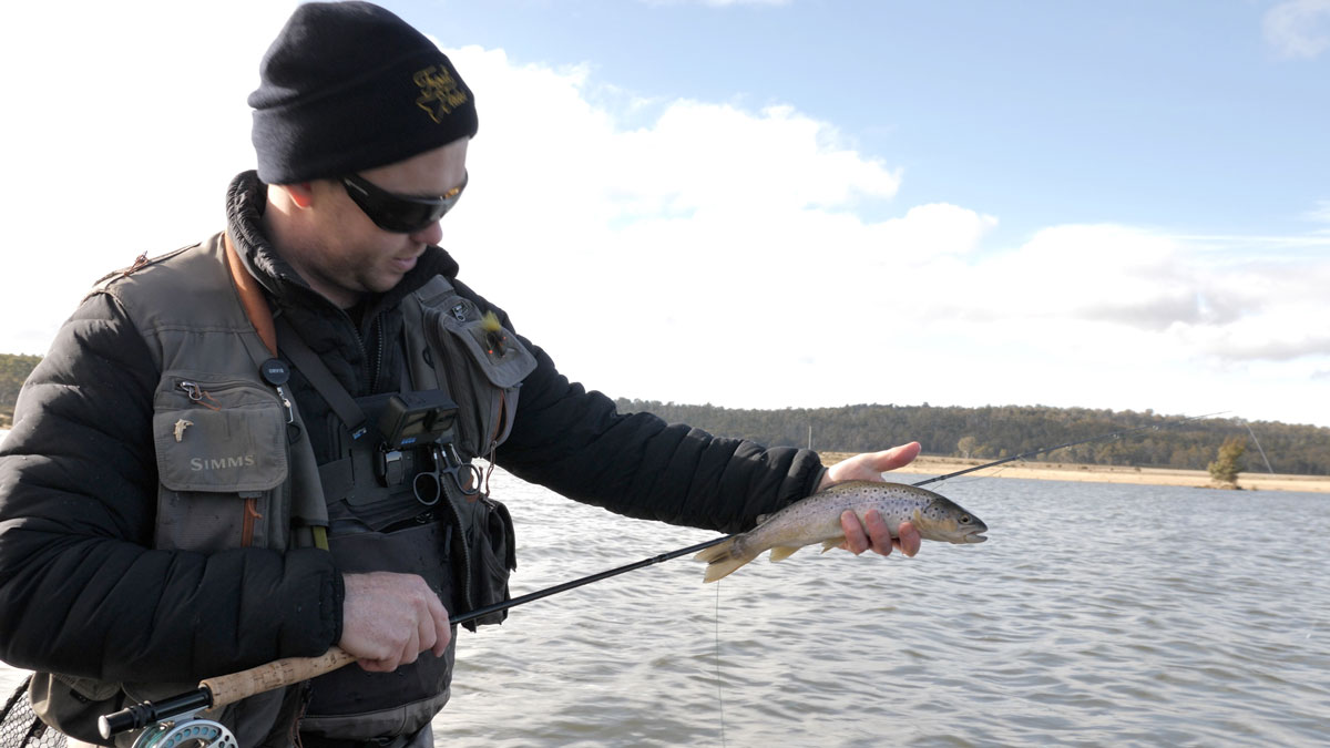 Fly Fishing For Beginners Three Tips From Your Tasmanian Fishing Guide