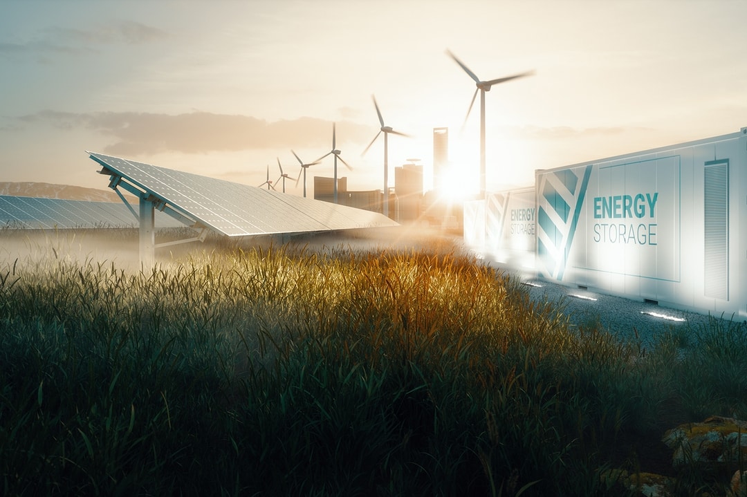 Wild Rice Electric Home