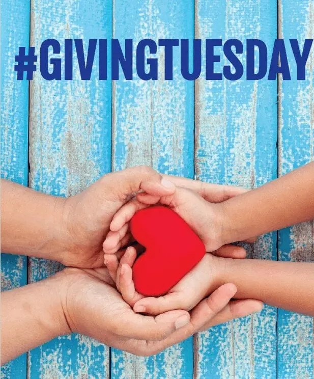 giving tuesday nonprofit board consultant