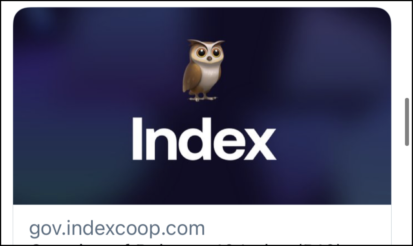 Low contrast old Index Coop logo and name