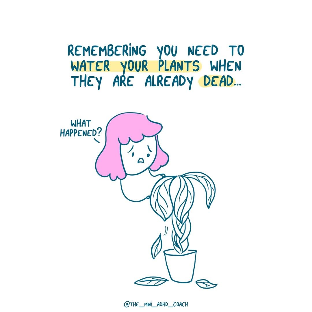 Remembering you need to water your plants when they are already dead