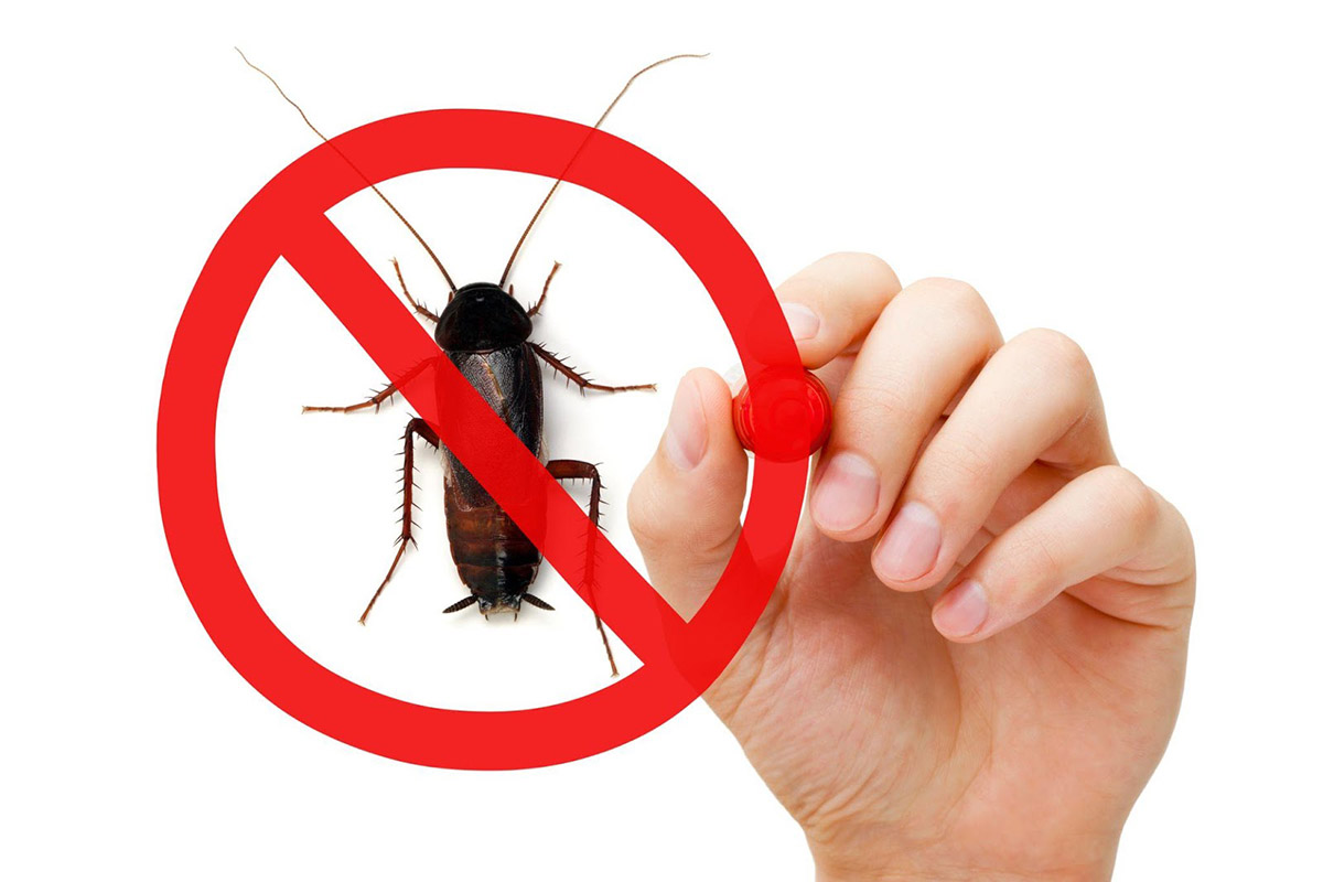 5 Tips to Keep Insects Out of Your Storage Container Storage Facility Airtight Storage Blog